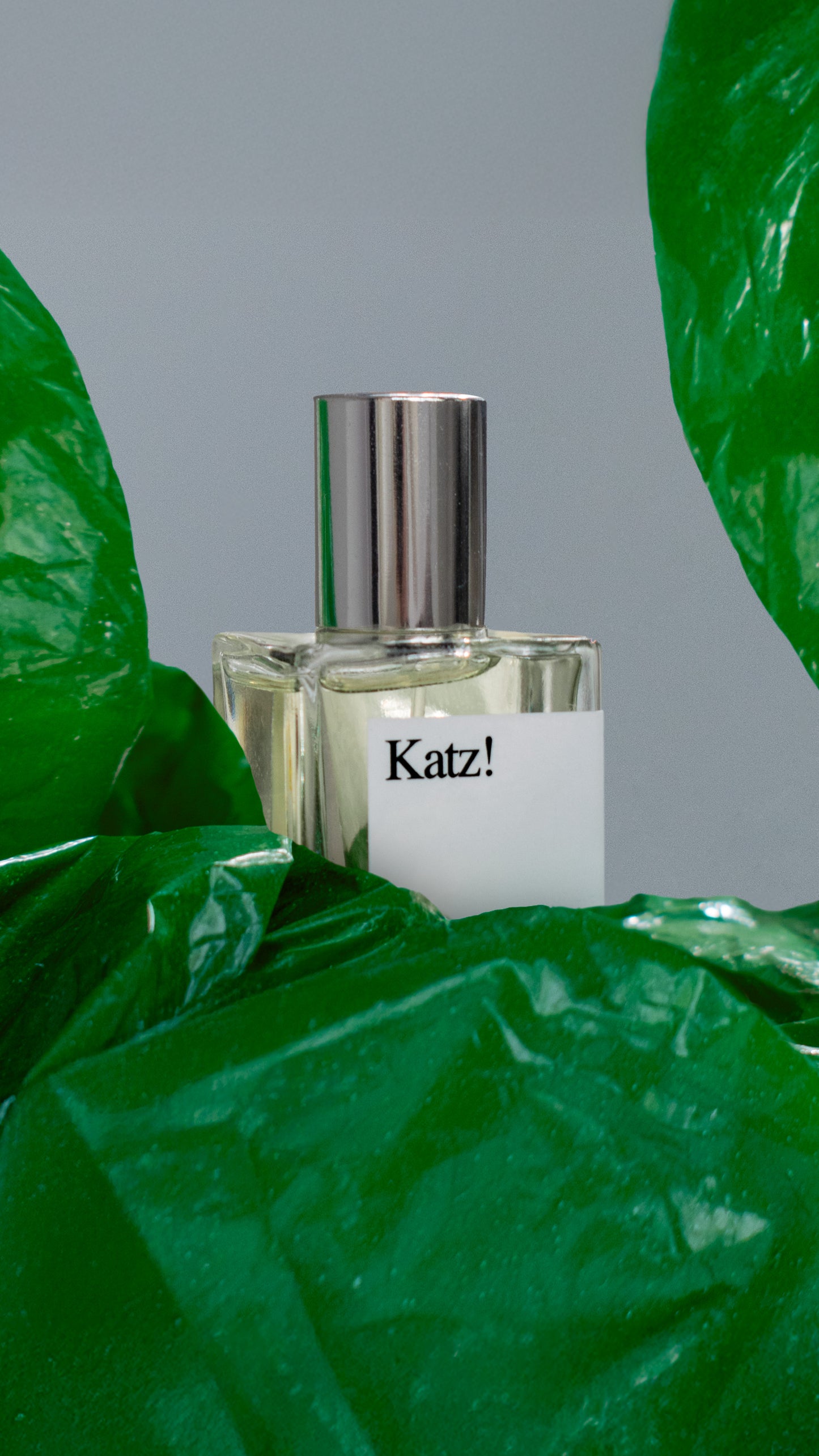 Pour Toi - Katz!